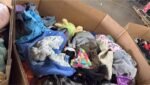 Baby Clothes Pallets & Shoes Pallets for Sale – 500+ Piece Wholesale - Image 4