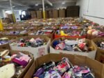 Premium Toys Liquidation Pallets | Wholesale Baby Toys Bulk Truckload Deals - Image 9
