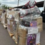 Wholesale Halloween Closeouts pallets - Image 5
