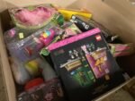 Premium Toys Liquidation Pallets | Wholesale Baby Toys Bulk Truckload Deals - Image 37