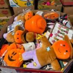 Wholesale TJ Maxx Fall & Halloween Closeouts Pallets
