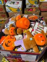 Wholesale TJ Maxx Fall & Halloween Closeouts Pallets