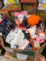 Wholesale TJ Maxx Fall & Halloween Closeouts Pallets - Image 2
