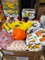Wholesale TJ Maxx Fall & Halloween Closeouts Pallets - Image 4