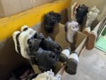 ATHLETIC SHOES Export Pallet - Image 3